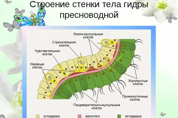 Как зайти на блэкспрут рабочее зеркало даркнет